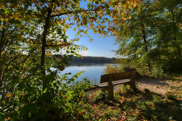 说不仅仅是 说不仅仅是