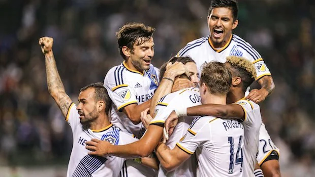 球队寻找新 球队寻找新