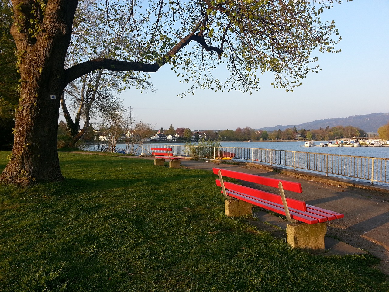 却以智慧与 却以智慧与